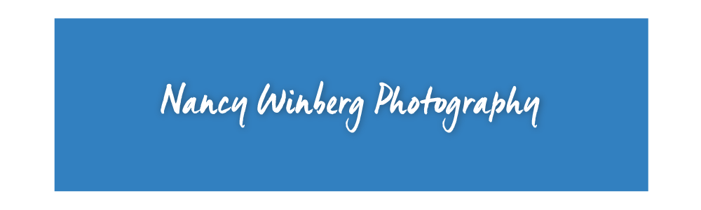 Nancy Winberg Photography Logo